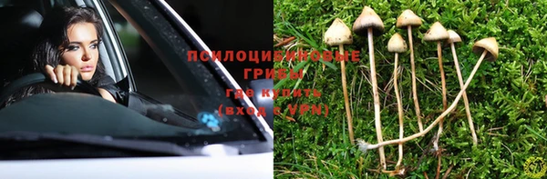 винт Армянск