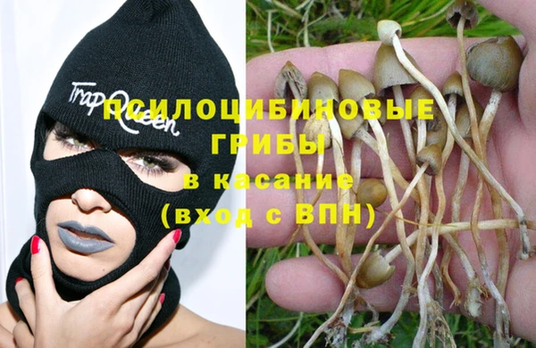 PSILOCYBIN Арсеньев