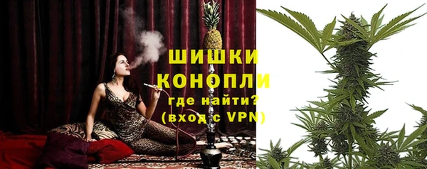 PSILOCYBIN Арсеньев