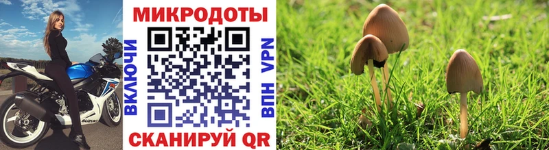 Галлюциногенные грибы мухоморы  Малоярославец 